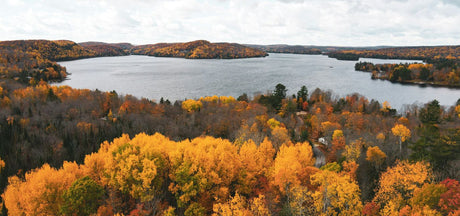 Shall you choose micro inverter or string inverter for your solar project?