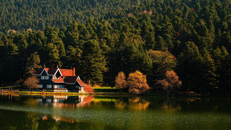 Powering Your Cottage With Rocksolar's LiFePO4 Batteries: A Comprehensive Guide