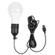 Outdoor LED Lights