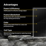 THORNOVA 700W Dual Glass Monocrystalline Bifacial Solar Panel (Pallet - 31 Panels)